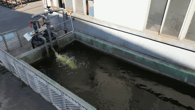 喜訊！中亞鋁業(yè)榮獲企業(yè)綠色品牌！(圖7)